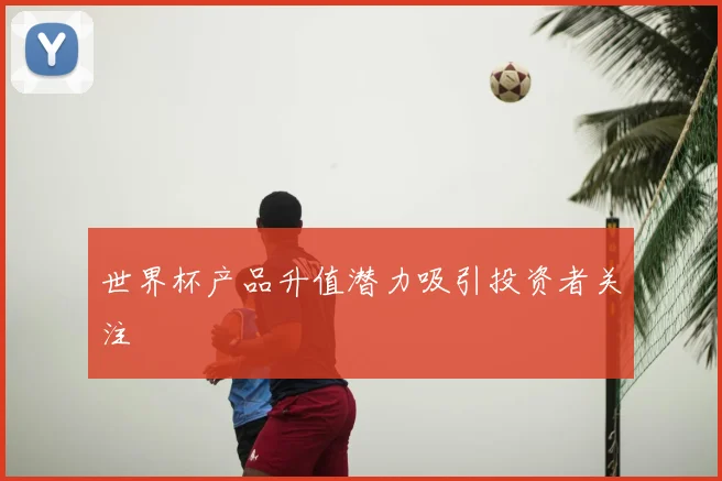 世界杯产品升值潜力吸引投资者关注