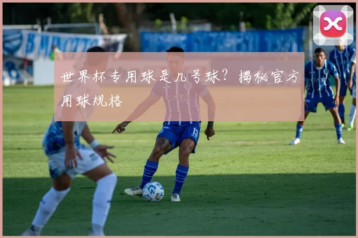 世界杯专用球是几号球?揭秘官方用球规格
