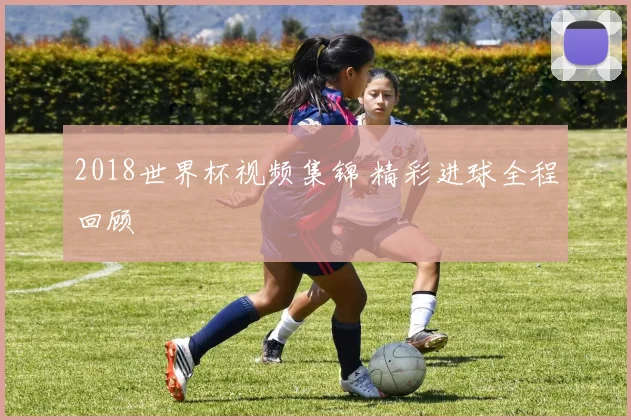 2018世界杯视频集锦 精彩进球全程回顾