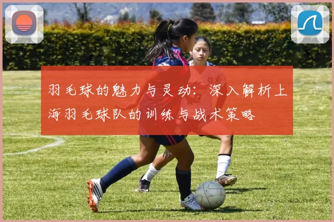 羽毛球的魅力与灵动：深入解析上海羽毛球队的训练与战术策略