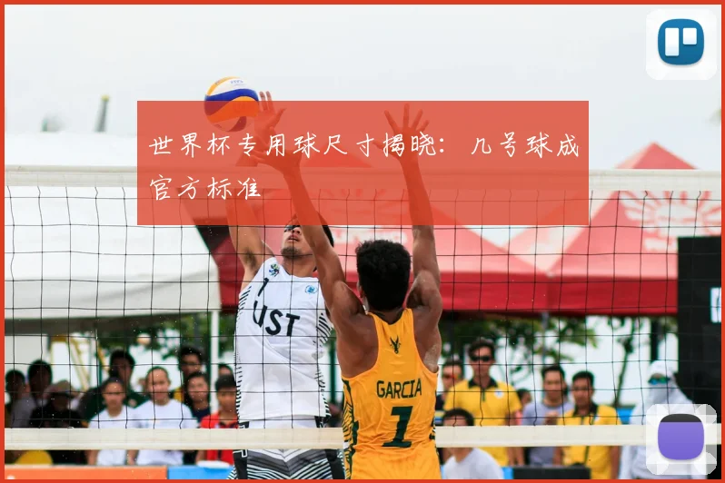 世界杯专用球尺寸揭晓:几号球成官方标准