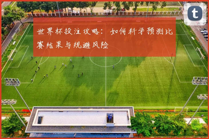 世界杯投注攻略：如何科学预测比赛结果与规避风险