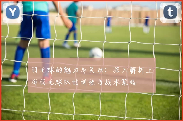 羽毛球的魅力与灵动：深入解析上海羽毛球队的训练与战术策略