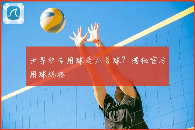 世界杯专用球是几号球?揭秘官方用球规格